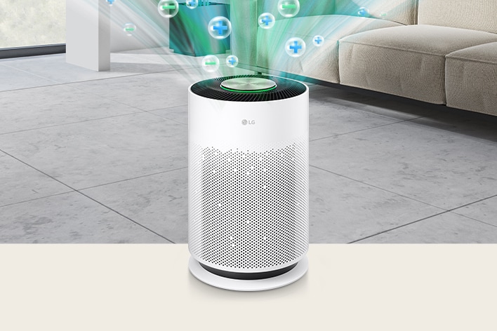 Ionizer